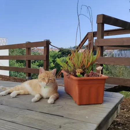 Blissful Garden Апартаменты *