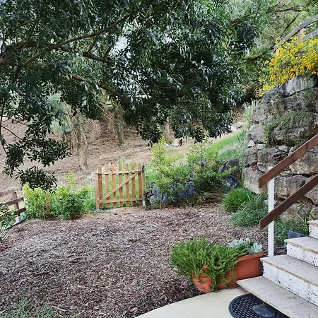 Blissful Garden * 신트라